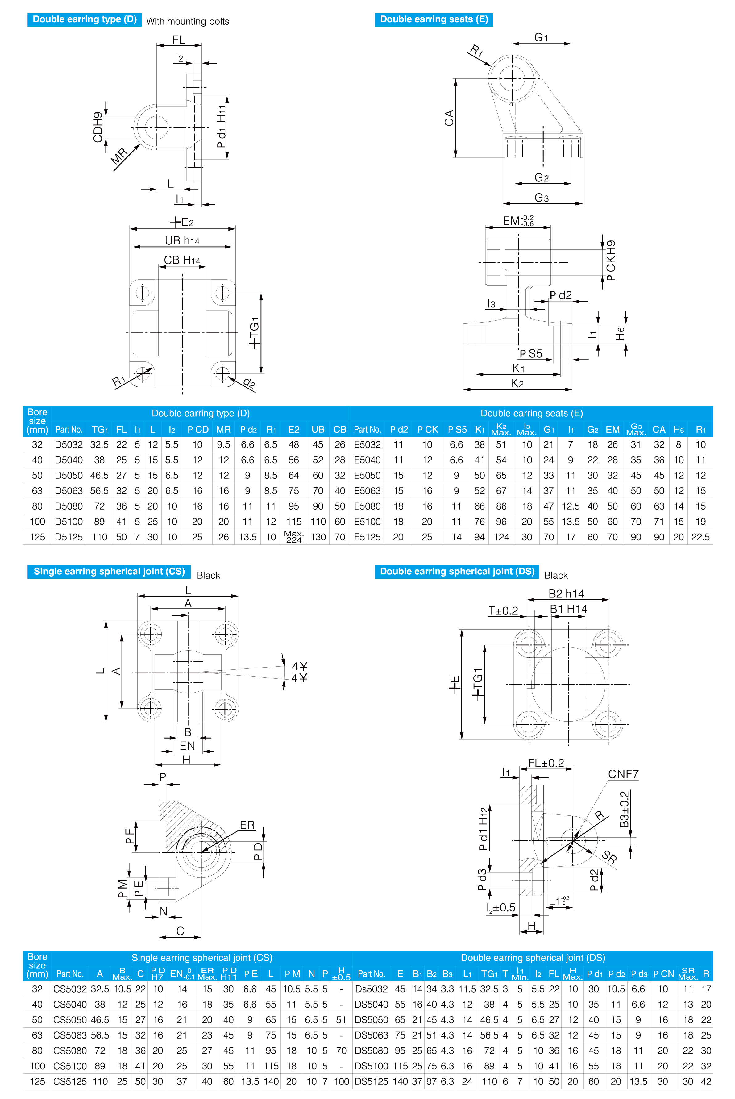 CP96 Series Standard Cylinder