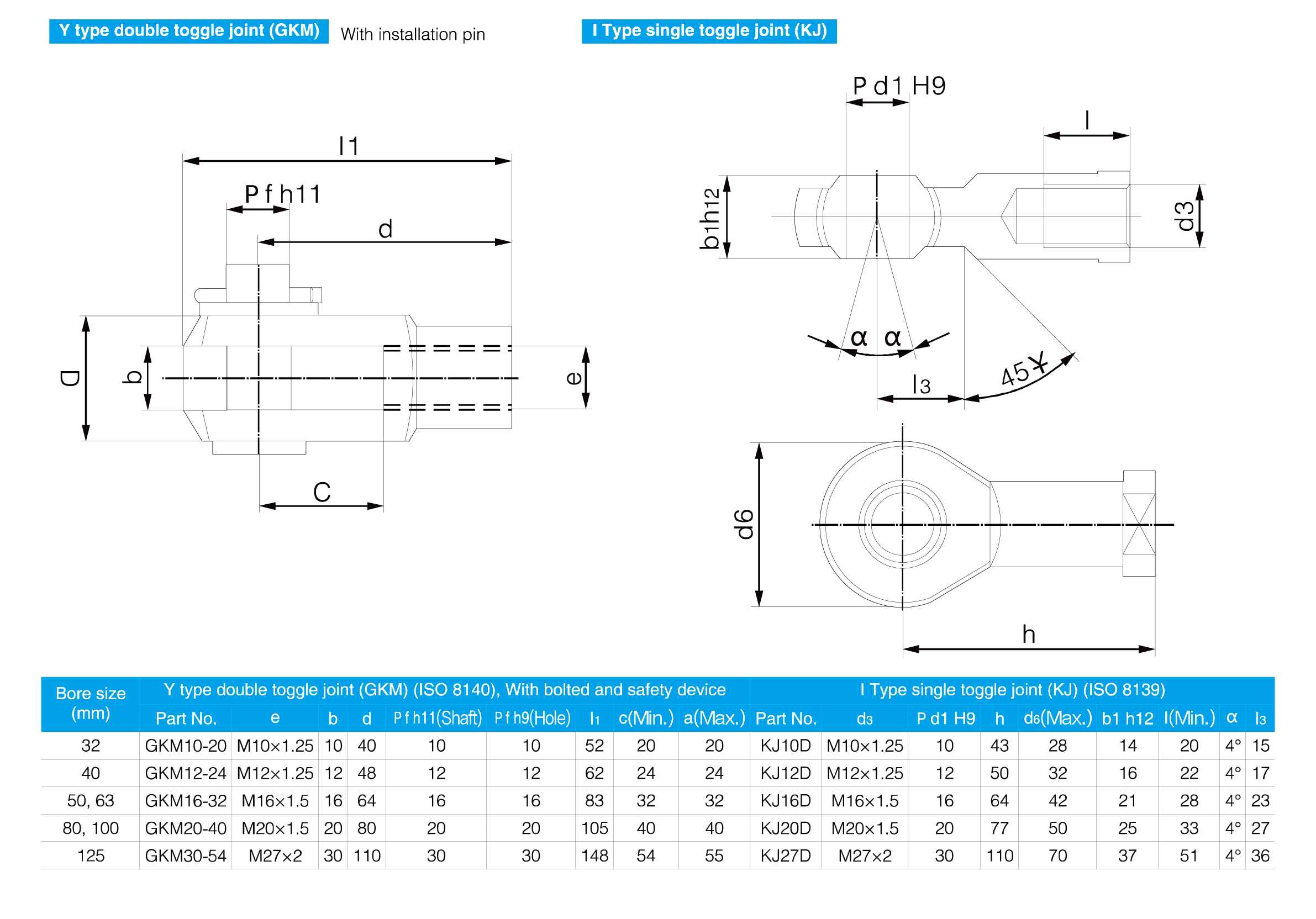 CP96 Series Standard Cylinder