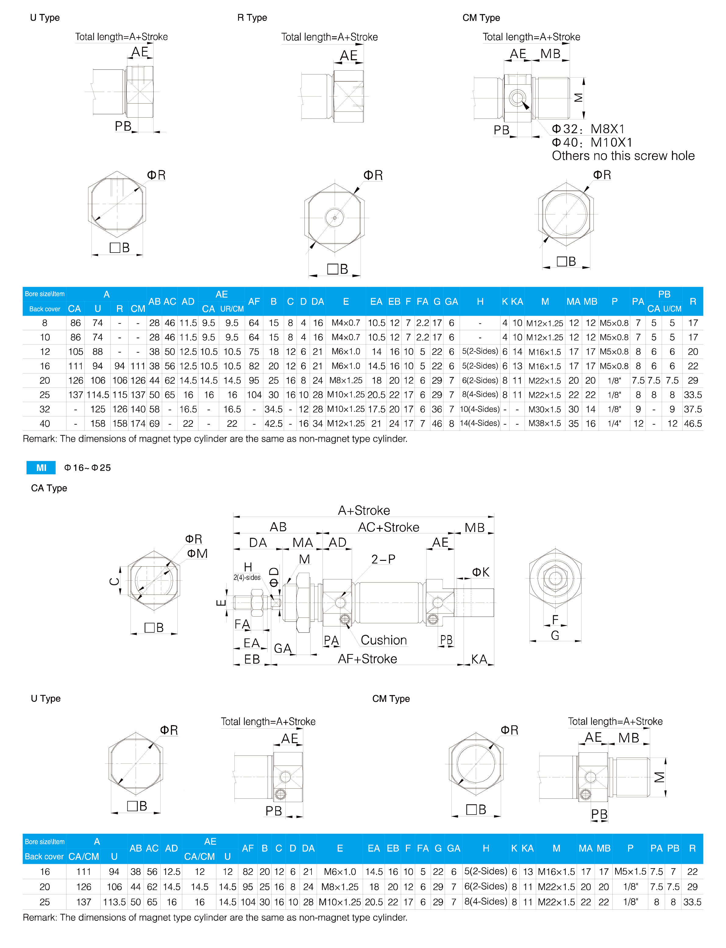 MI Series Stainless Steel Mini Cylinder