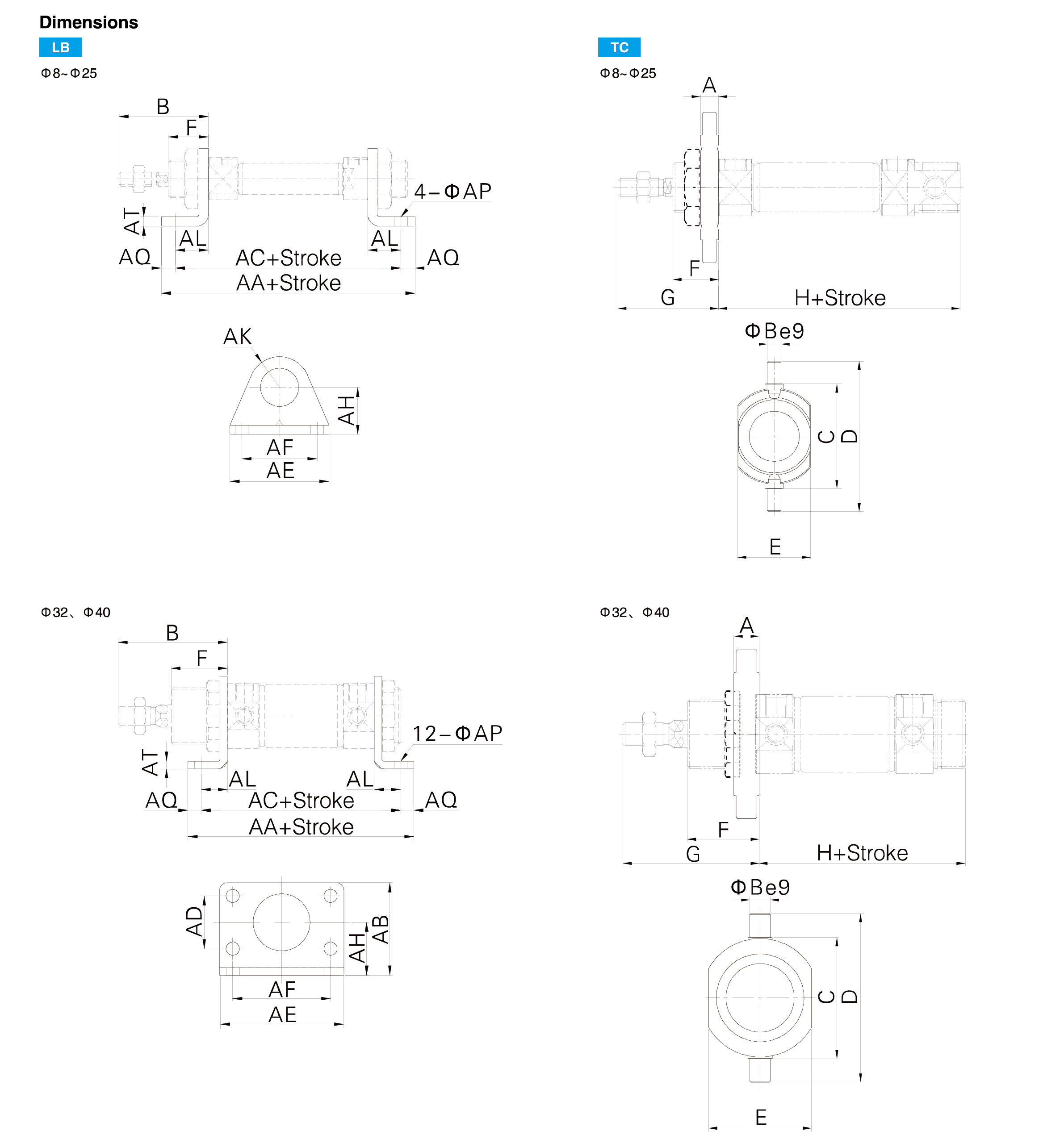 MI Series Stainless Steel Mini Cylinder