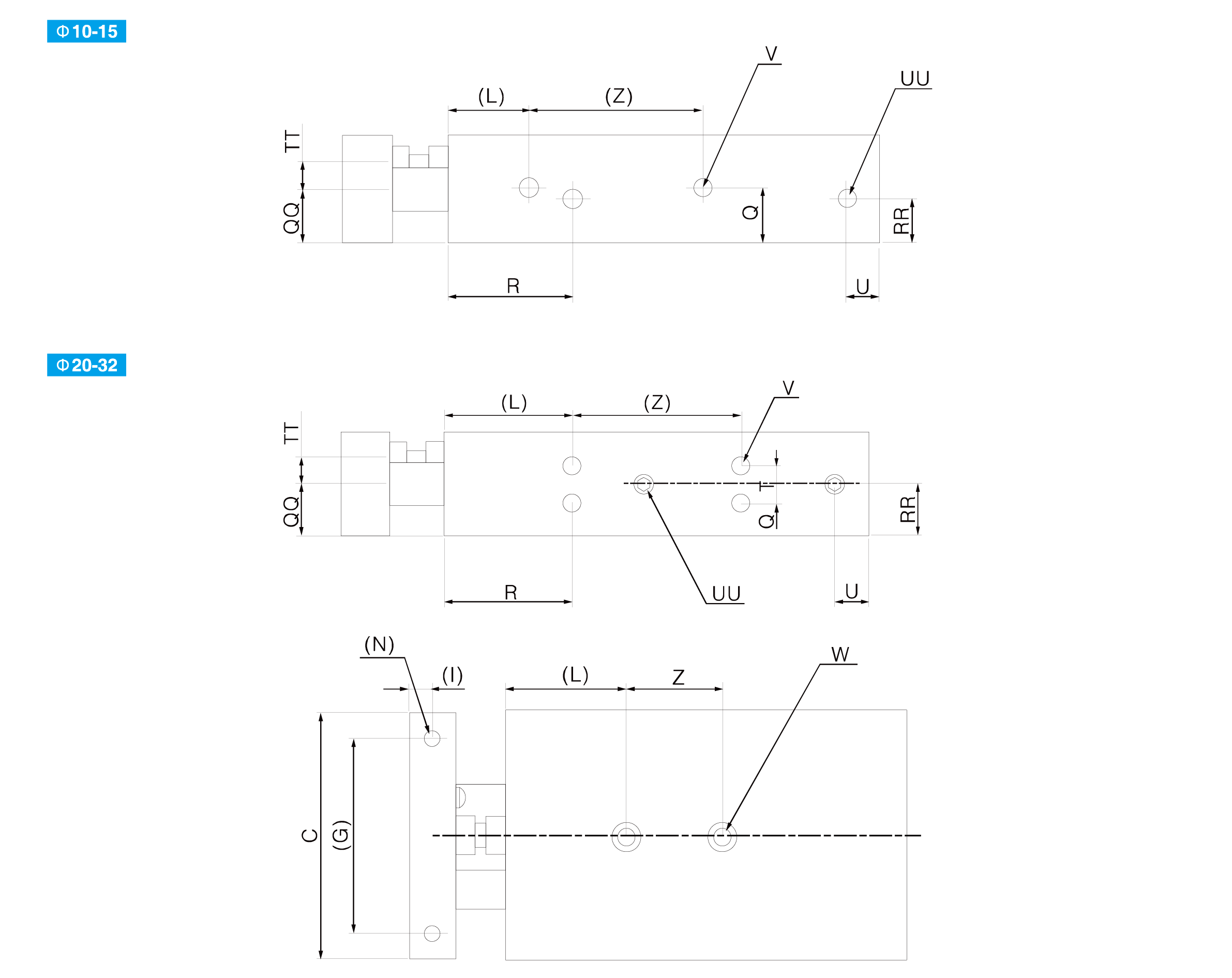 CXSM Series Dual Rod Cylinder(Basic Type)