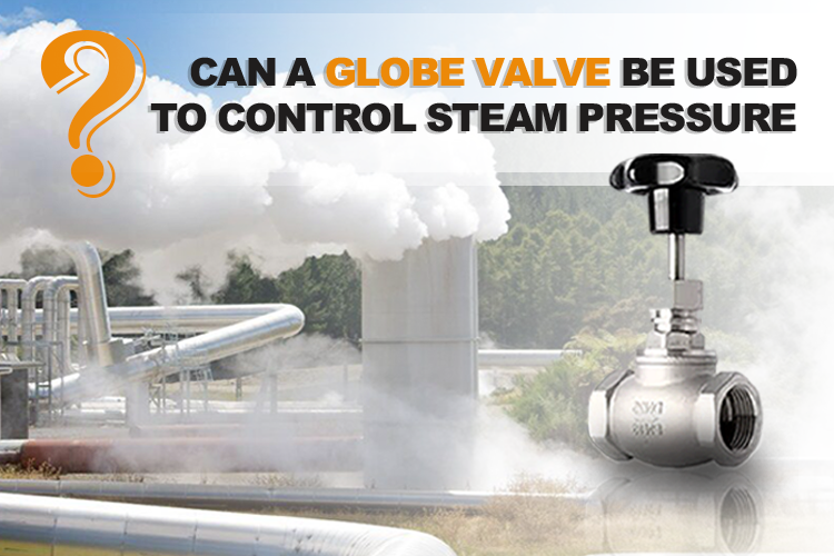 Can a Globe Valve Be Used to Control Steam Pressure
