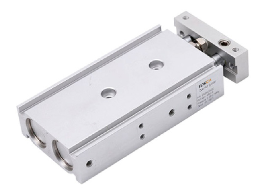 CXSM Series Dual Rod Cylinder(With Air Cushion)